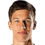 赛尔·斯温克尔